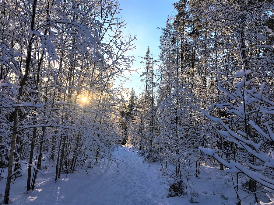 Зима воздух. Ленинградская область в воздуха зима. Зимой меньше кислорода.